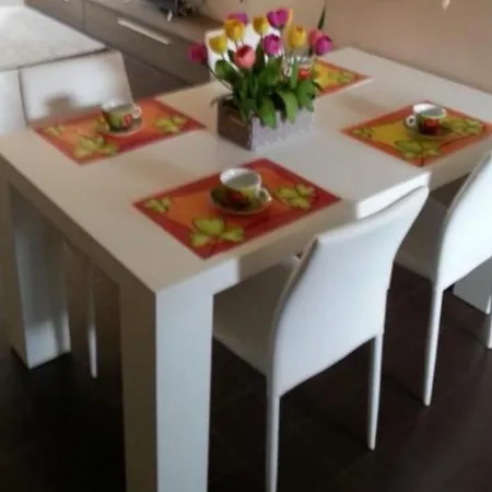 I Tulipani Di Anna Daire