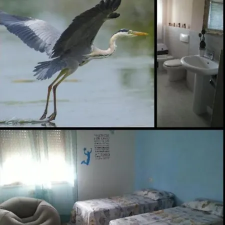 I Tulipani Di Anna Castiglione del Lago