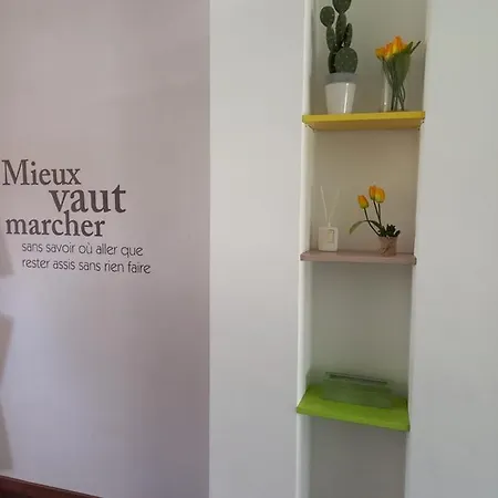 I Tulipani Di Anna *