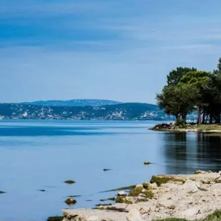 I Tulipani Di Anna *