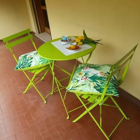 I Tulipani Di Anna Daire