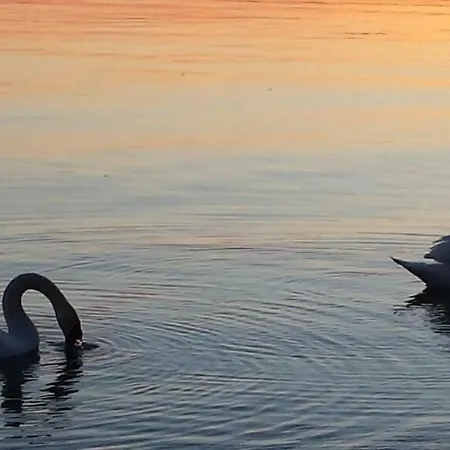 I Tulipani Di Anna Lägenhet *