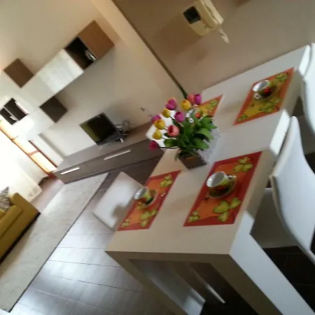 I Tulipani Di Anna Daire