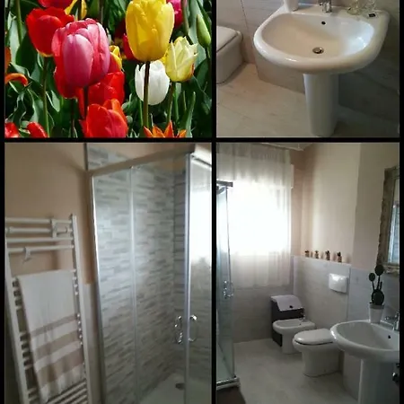 I Tulipani Di Anna Daire *