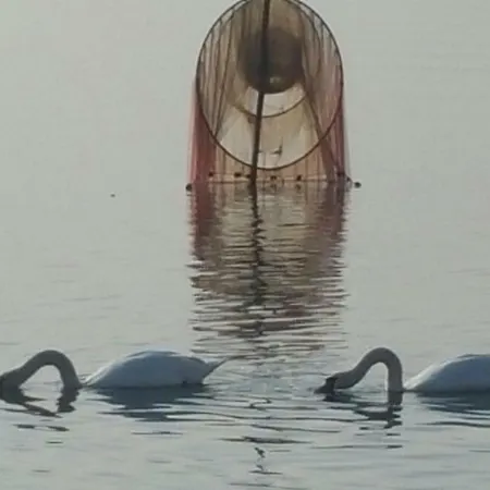 I Tulipani Di Anna Castiglione del Lago