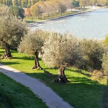 Daire I Tulipani Di Anna